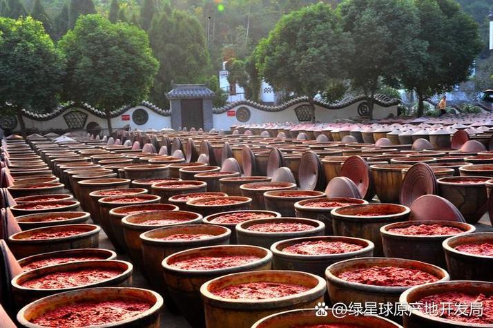 豆瓣还古老的临江寺豆瓣】临江寺豆瓣是蚕豆发酵制成的地方名特调味品